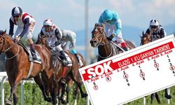 ŞOK okudular, yine kazandılar:Bugünkü altılı Elazığ'dan