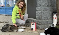 Pelin öğretmen 11 yıldır "çocuklarım" dediği kedileri besliyor