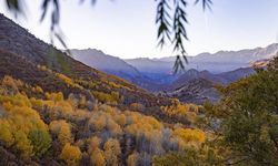 Tunceli'nin Salördek ormanları sonbaharda doğayla buluşmak isteyenleri ağırlıyor