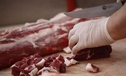 İthal ette büyük skandal! Tüm alımlar aynı şirkete çıkmış