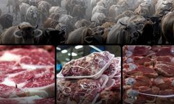 Üretim süreçlerindeki baskılar dünya genelinde et fiyatlarını artırıyor