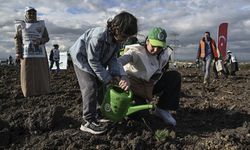 Cemre Vakfı gönüllüleri 10 bin fidan dikti