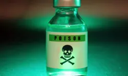 Fosfin gazı nedir? Böcek ailesinin ölümüyle gündeme gelen Fosfin gazı nerelerde kullanılır, zehirli mi?