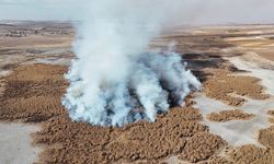 Konya'daki tamamen kuruyan Gökgöl sazlıkları 2 gündür yanıyor