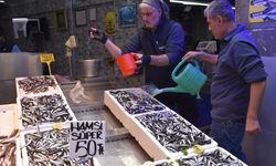 Trabzon'da balıkçı tezgahlarını hamsi süslüyor