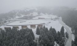 Giresun'da Kümbet Yaylası beyaz örtüyle kaplandı! Gözlere ziyafet çekti