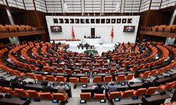 Terörsüz Türkiye sürecinde meclis 'İmralı' ziyaretini oylayacak
