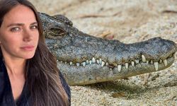 Ceyda Ateş'in evinin yakınında bulunan dev timsah herkesi şok etti!