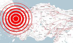 İsviçreli bilim insanlarının hazırladığı deprem haritasında Türkiye'den nereler var?