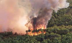 İran'dan orman yangınlarına müdahale için uluslararası yardım çağrısı