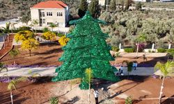 Doğa bilincine dikkat çekmek için binlerce plastik şişeden dev sedir ağacı yapıldı