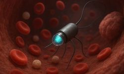 Sağlıkta devrim! Mikro robotlar damar testinden geçti