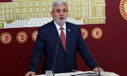 AK Parti'li Metiner de 'ziyaret' polemiğine katıldı: 'O lafları söyleyecek biri değil'