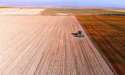 Hububat ambarı Konya Ovasında yağışlar yetersiz