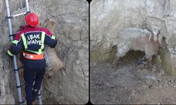 Uşak'ta kuyuya düşen keçiyi itfaiye kurtardı