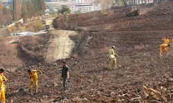 Hatay ve Kilis'te bir günde 44 bin 50 fidan toprakla buluşturulacak