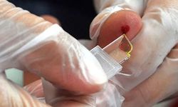 'Altın kan': En nadir kan grubu 'Rh null' neden bu kadar değerli?