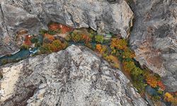 Tohma Kanyonu sonbaharda renk cümbüşüne büründü