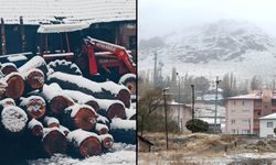 Yurdun bazı kesimlerinde kar yağışı etkili oldu