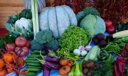 Edirneli üreticiler ata tohumundan ürettikleri ürünleri Millet Bahçesi’nde satışa sunuyor