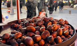 Kışın şifa kaynağı kestane tezgâhlarda yerini aldı