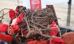 "Efsane renk" Edirne kırmızısının kullanım alanları genişliyor