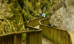 İçinden sonbaharın geçtiği kanyon: Horma