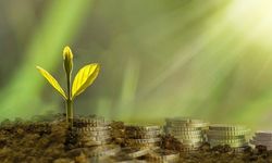 İklim finansmanında 2035'e kadar yıllık 1,3 trilyon dolarlık hedef "ulaşılabilir ve gerekli"