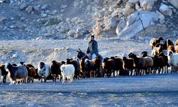 Kars yaylalarındaki göçerlerin dönüş yolculuğu devam ediyor