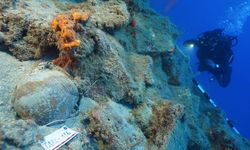 Fethiye kıyılarında su altı arkeologlarını heyecanlandıran keşif
