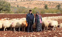 İkinci baharlarında belediyeden aldıkları destekle besici oldular