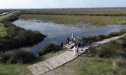 Kızılırmak Deltası Kuş Cenneti'ni son 2 yılda 220 bin kişi ziyaret etti