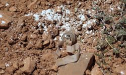 Suriye'de PKK/YPG'nin döşediği mayının patlaması sonucu bir çocuk hayatını kaybetti
