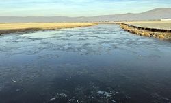 Ardahan'da Kura Nehri'nin yüzeyi buz tutmaya başladı
