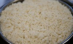 İpsala pirincinin güvenilirliği AB coğrafi işaret tesciliyle kanıtlandı