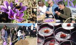 Karabük'te "Safran İmecesi" etkinliği düzenlendi