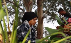 İstilacı su sümbülleri kadınlara gelir kaynağı oldu