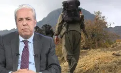 Şamil Tayyar’dan flaş iddia: 'PKK’nın bazı kadroları ağır silahlarla YPG’ye katıldı'