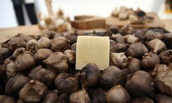Taşköprü siyah sarımsağından sabun üretildi
