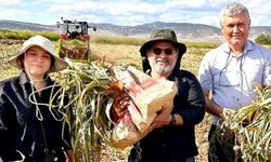KBÜ, sarımsakta Fusarium hastalıklarına karşı bilimsel çözüm geliştirdi