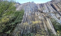 Sinop'ta milyon yıllık bazalt kayalıkları sonbahar renklerine büründü