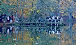 Sonbahar renklerine bürünen "orman denizi" Yedigöller'de ziyaretçi yoğunluğu