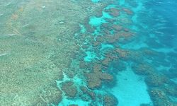 Küresel ısınma 2 derecenin altında tutulursa, Büyük Set Resifi'nin bir kısmı "iyileşebilir"