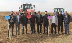 Sivas’ta 5 farklı ekmeklik buğday, pilot bölgede toprakla buluşturuldu