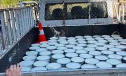 Hatay’da tonlarca süt ürünü imha edildi!