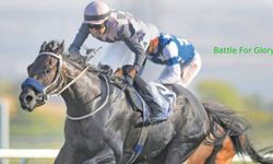 Tüyosu olan kazanır! 26 Kasım at yarışı tahminleri