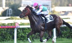 Tüyosu olan kazanır! 19 Kasım at yarışı tahminleri