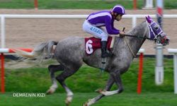 Tüyosu olan kazanır! 9 Kasım at yarışı tahminleri