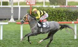 Tüyosu olan kazanır! 8 Kasım at yarışı tahminleri