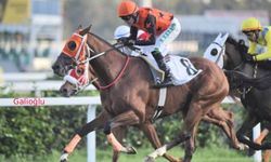 Tüyosu olan kazanır! 20 Kasım at yarışı tahminleri